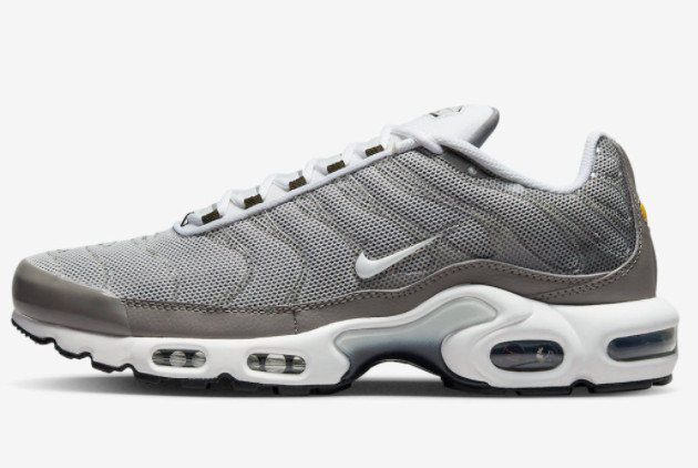 Nike Air Max Plus Flat Pewter/White-Photon Dust-Black DV7665-002 | Premium Sneakers at Competitive Prices